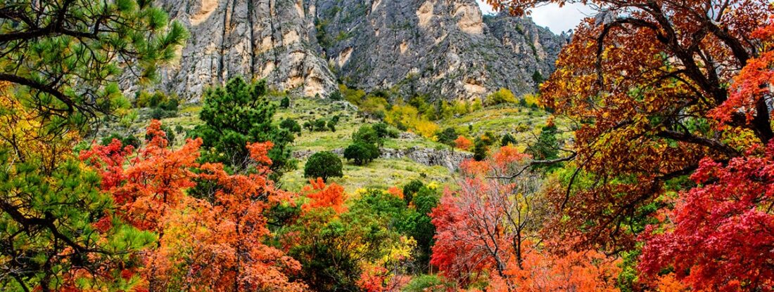 guadalupe mountain autumn fall season