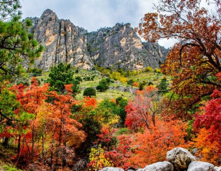 guadalupe mountain autumn fall season