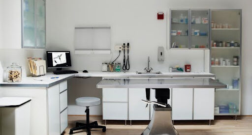 Dog Bites in Veterinary Clinics